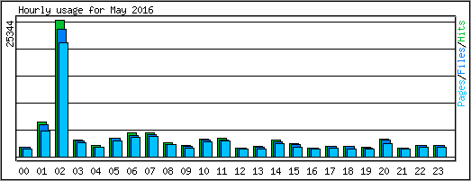Hourly usage