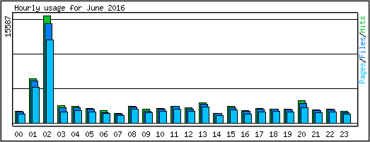 Hourly usage