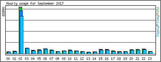 Hourly usage
