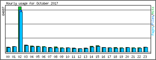 Hourly usage