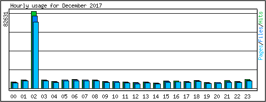 Hourly usage