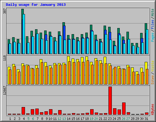 Daily usage for January 2013