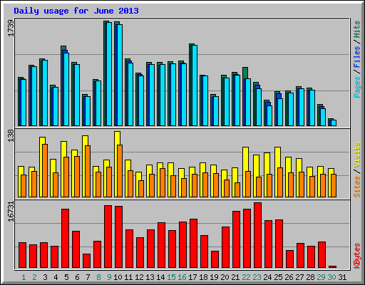 Daily usage for June 2013