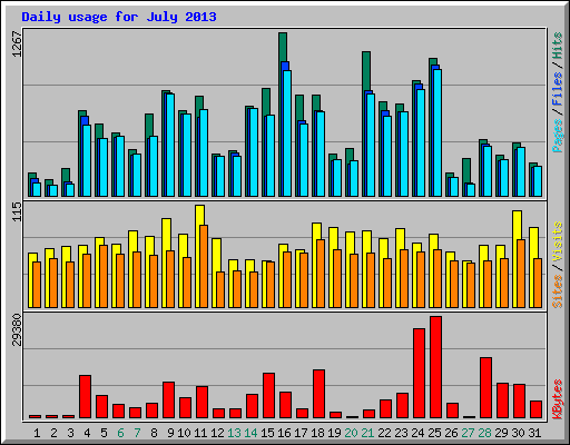 Daily usage for July 2013