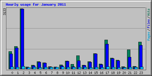 Hourly usage for January 2011