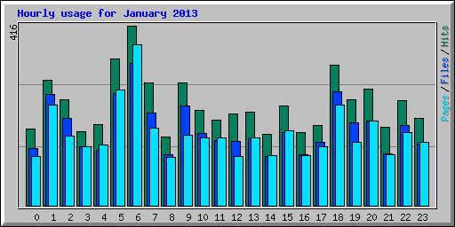 Hourly usage for January 2013