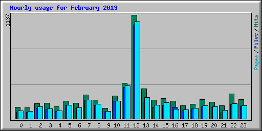 Hourly usage for February 2013