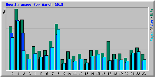 Hourly usage for March 2013