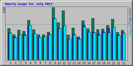 Hourly usage for July 2013