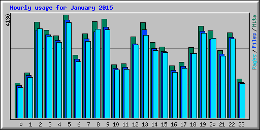 Hourly usage for January 2015