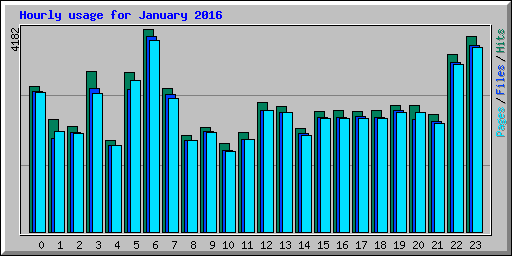 Hourly usage for January 2016