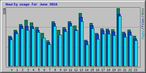 Hourly usage for June 2016