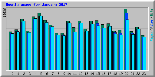 Hourly usage for January 2017