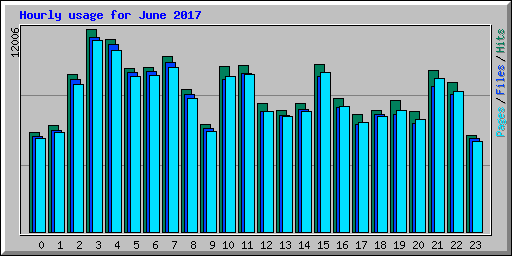 Hourly usage for June 2017
